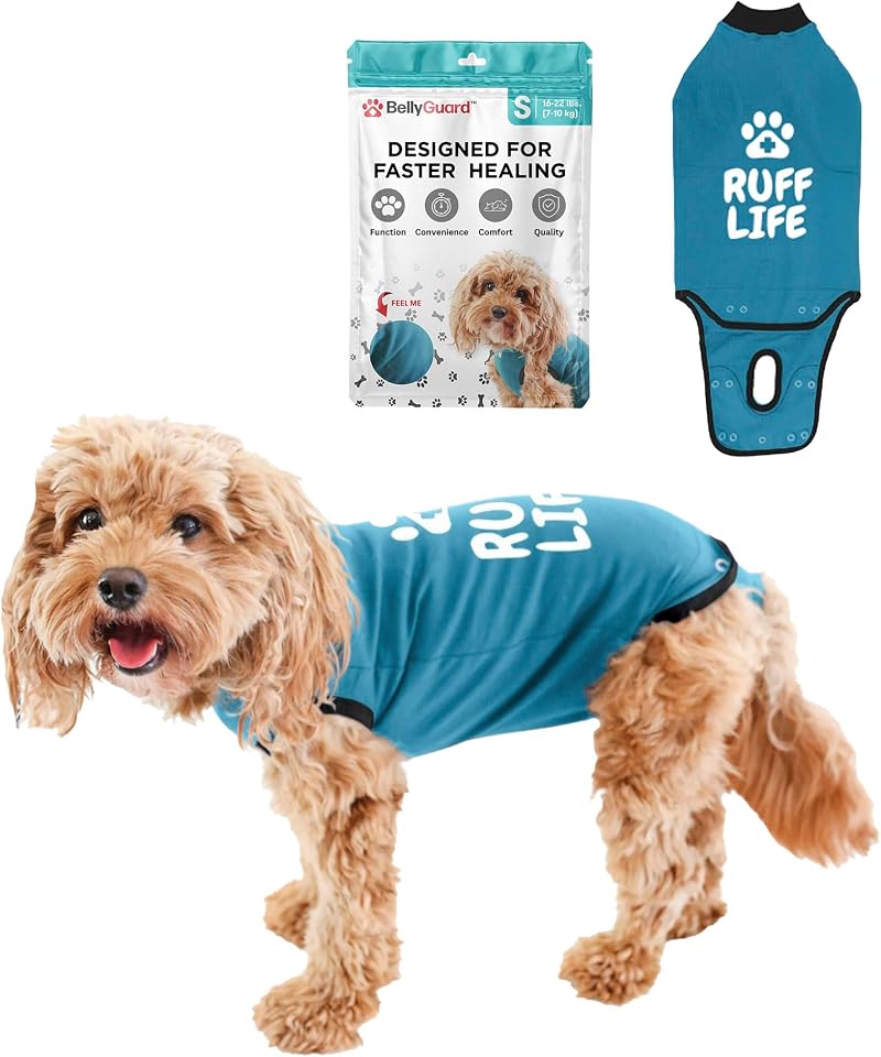 BellyGuard Dog Recovery Suit for Post Surgery Vests Cozy Onesie