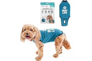 BellyGuard Dog Surgery Suit for Male and Female, Onesie for Dogs After Surgery, Spay or Neuter Recovery Suit for Post-Op Care