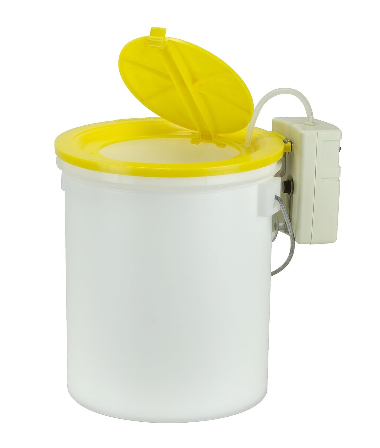 Essential Tips on How to Keep Minnows Alive