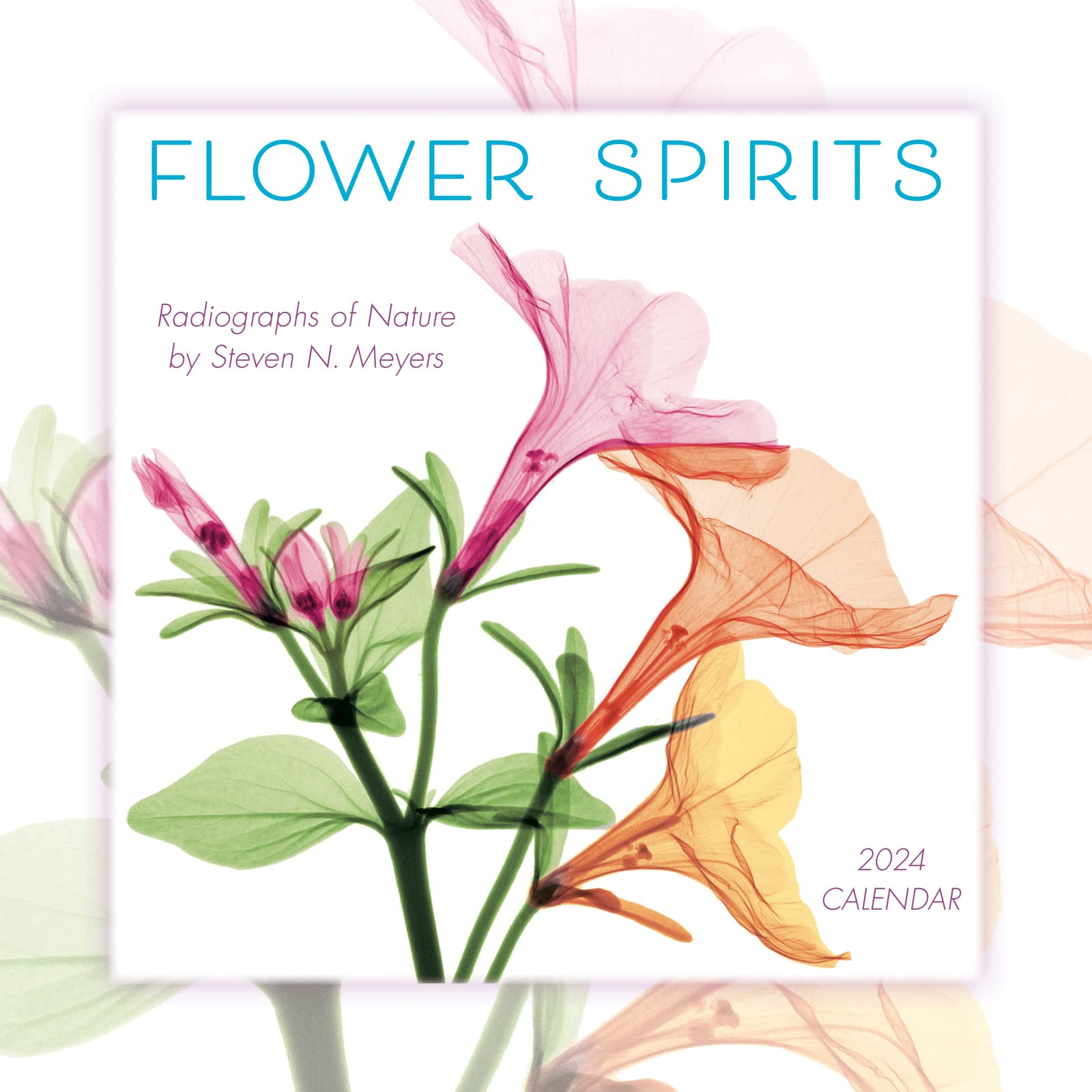 Flower Spirits 2025 Wall Calendar - Radiographs Of Nature By Steven N. Meyers, 12" X 12