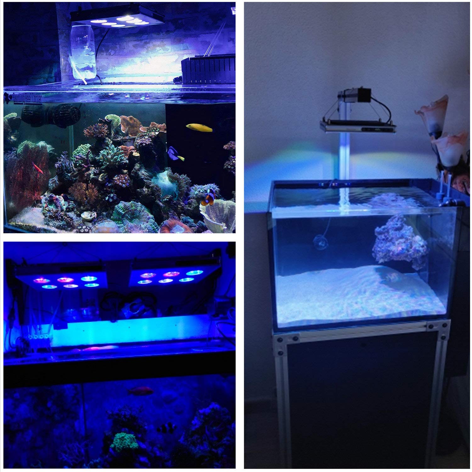 Mua Led Aquarium Light Aquarium Light With Sunrise Sunset And Moonlight Timer Control 78w Full Spectrum Coral Reef Light With Touch Screen For Coral Reef Fish Tanks Tren Amazon Nhật Chinh