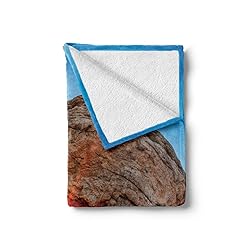Ambesonne USA Soft Flannel Fleece Throw
