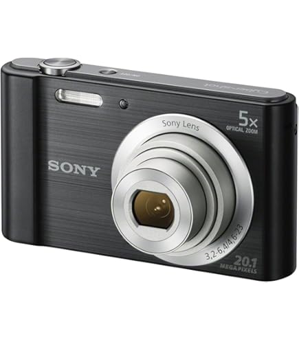Amazon.com : Sony Cyber-shot DSC-W810 Digital Camera