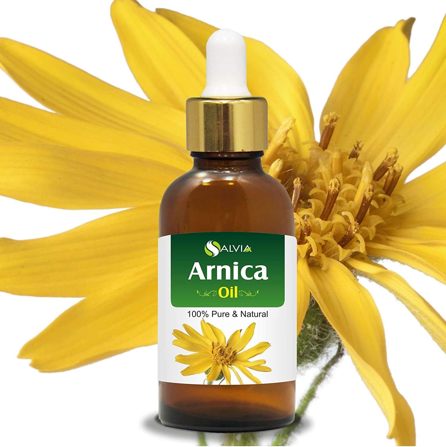 Arnica Essential Oil (Arnica Montana) by Salvia 100% Pure & Natural, Undiluted Uncut Cold Pressed Aromatherapy Premium Oil