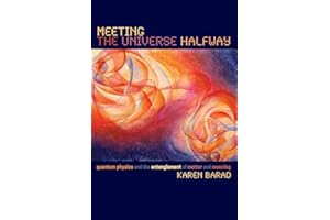 Meeting the Universe Halfway: Quantum Physics & the Entanglement of Matter & Meaning