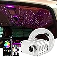ATOKEE Starlight Headliner Kit, 10W Twinkle Fiber Optic Lights for Car Use, 200pcs*0.03in*6.5ft Car Star Roof Lights with APP/Remote Music Control