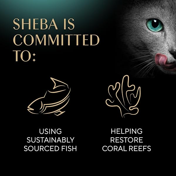 SHEBA MEATY TENDER STICKS SOFT CAT TREATS WITH CHICKEN, TUNA FLAVOR, AND SALMON FLAVOR, 0.14 OZ., 70 COUNT
