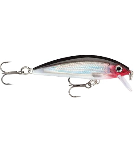 Amazon.com : Rapala Unisex's X-Rap Lure, Ayu, 7 : Sports & Outdoors