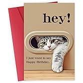 Funny Cat Birthday Card for Man Woman, Cat Lovers Birthday Gifts Card Ideal, "HEY! I Just Want to Say Happy Birthday" Suitable for All Ages