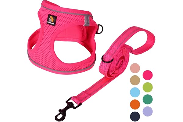 BELLA & PAL Puppy Harness with Leash Set, Dog Harness for Small Dogs No Pull, Dog Leash for Puupy, Step in Harness for Extra