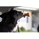 Bath Bones | Anxiety Bone Slow Feeder | Food Grade Material | Combats Dog’s Anxiety During Stressful Events | Great for Peanu