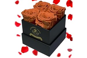 Nietiy Gift for Mom, Valentine Gifts, for Mom,AnniversaryGifts for Women,Sister Birthday Gifts from Sister,Regalos para San Valentin para Mujeres,Rose Teddy Bear