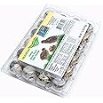 Green Wings Ranch Quail Eggs Non-GMO 2 Dozen
