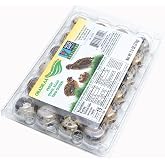 Green Wings Ranch Quail Eggs Non-GMO 2 Dozen