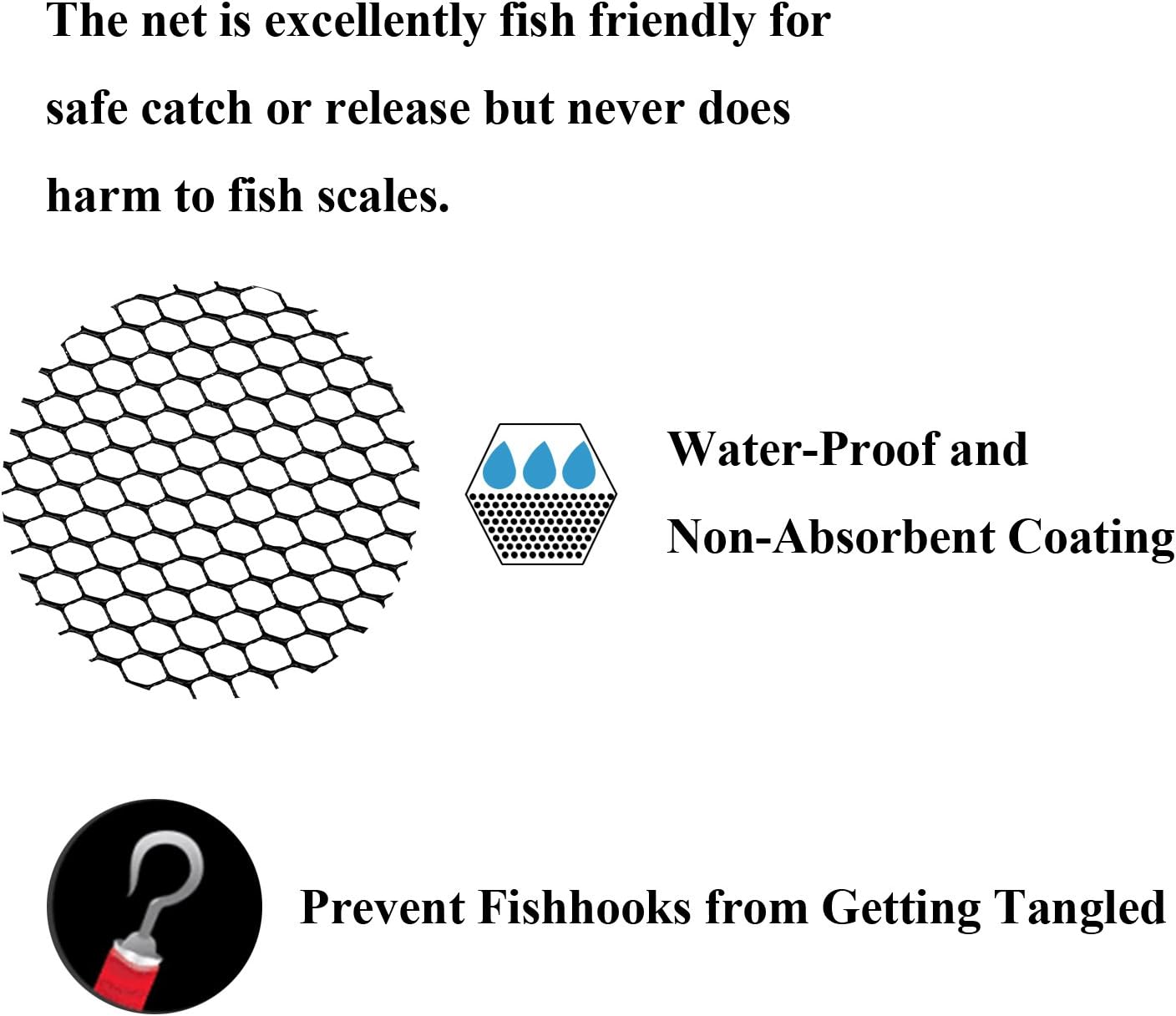 PLUSINNO Fishing Net Fish Landing Net, Foldable Collapsible Telescopic Pole Handle, Durable Nylon Material Mesh, Safe Fish Catching or Releasing (12"/31cm Hoop Size (Fixed Pole)) : Sports & Outdoors
