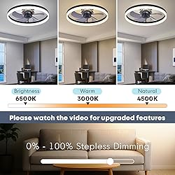 Fszdorj 23.6'' Ceiling Fan with Light, Upgraded Low