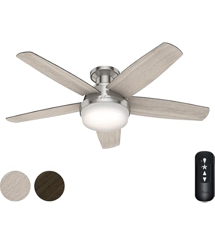 チンバウ  CONTEMPORANEA Amazon.com: Hunter Fan 54 inch Casual Brushed Nickel Indoor