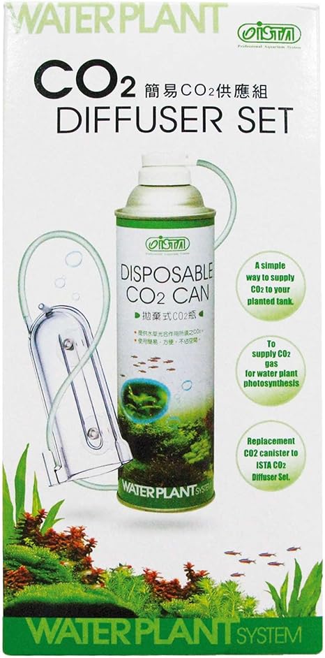 timed dog feeding bowl