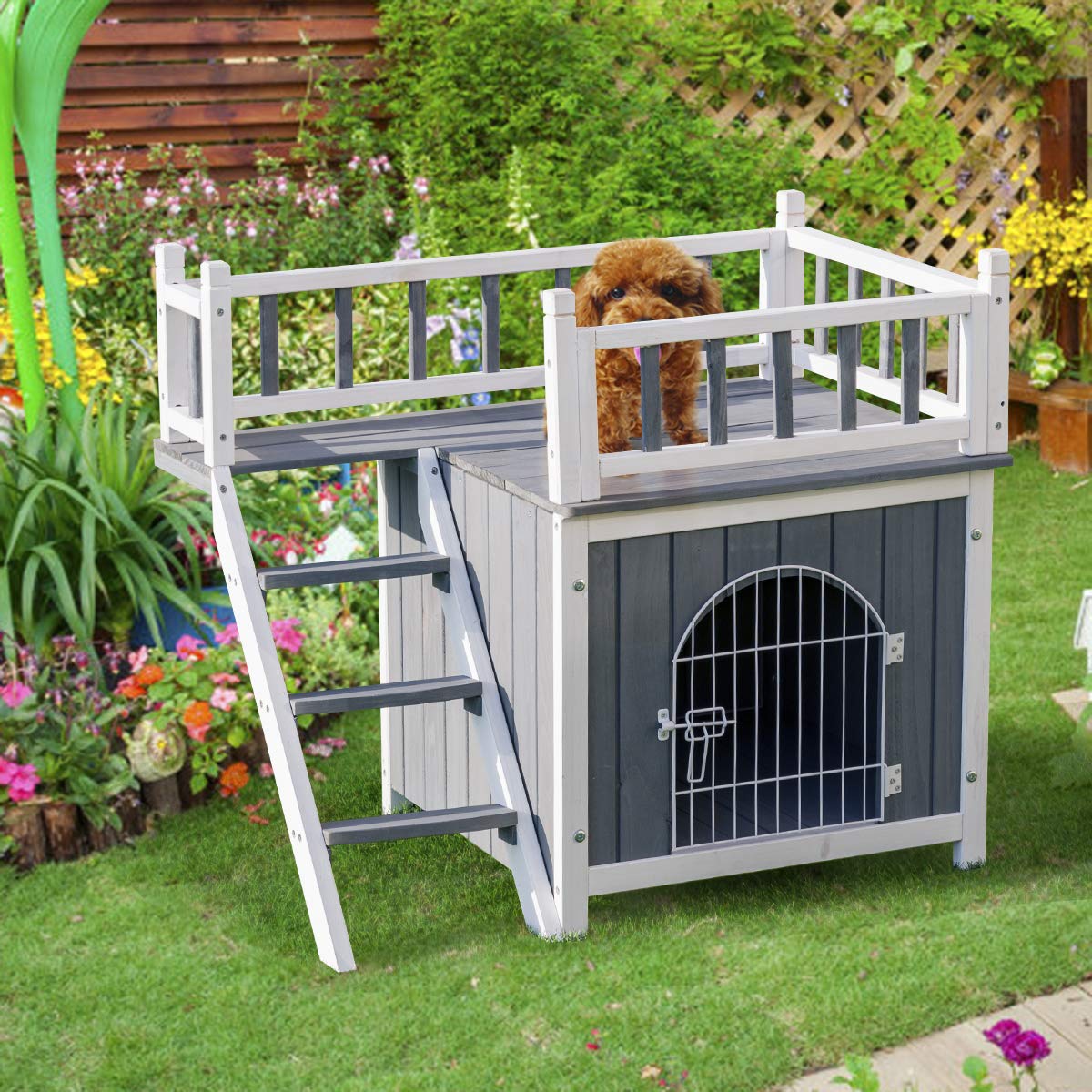 off the ground dog kennels
