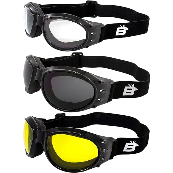 Lunettes De Sport Birdz Wing – Cadre Noir, Verres Clairs – Pour Équitation, Parachutisme – NEUF