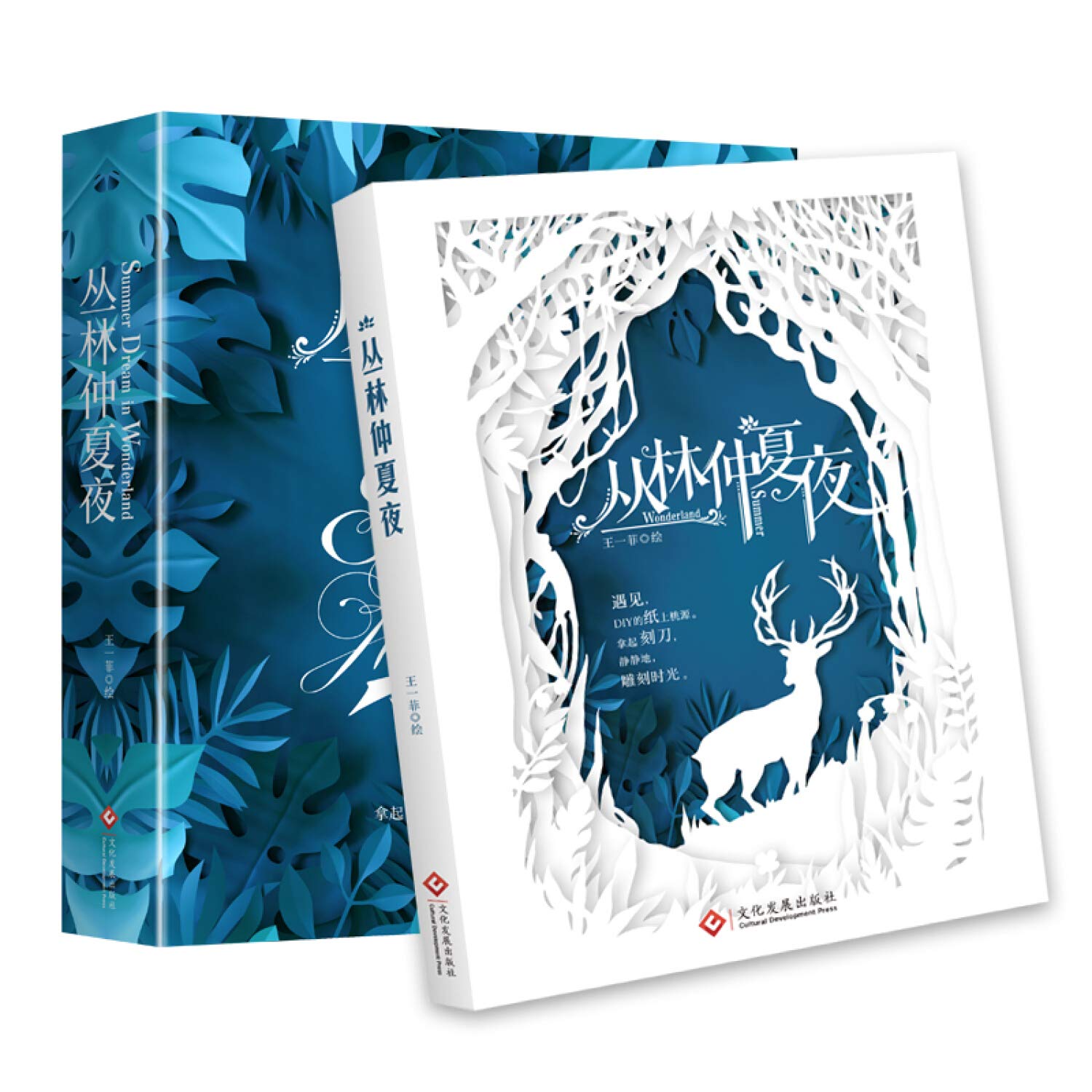 丛林仲夏夜 王一菲 王一菲 本 通販 Amazon