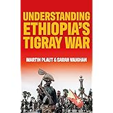 Understanding Ethiopia's Tigray War
