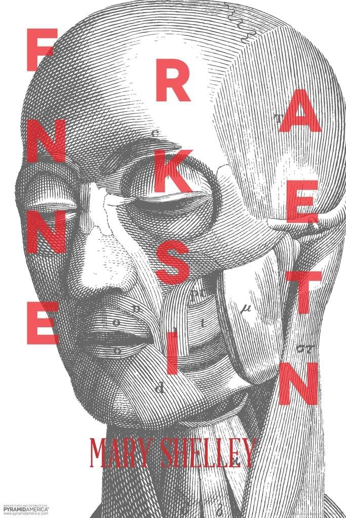 Pyramid America Frankenstein Mary Shelley Anatomical Cool Wall Decor Art Print Poster 24x36
