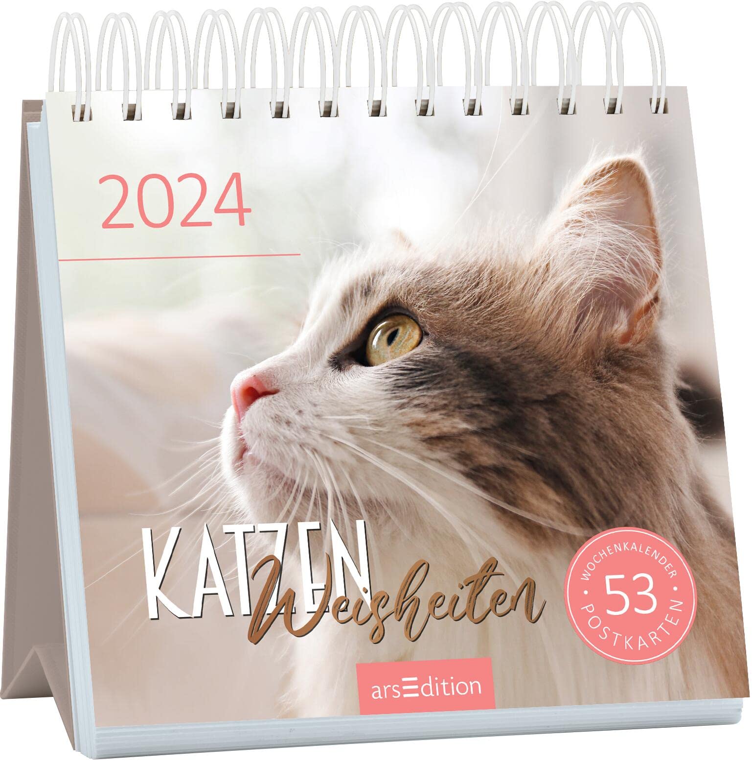 Postcard Calendar Cat Wisdom 2024 Decorative Desk Calendar 2024 for Cat Fans with 53 Postcards