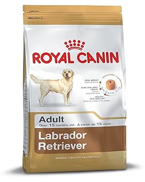 Royal Canin Adult Labrador Dog Food (12 Kg)