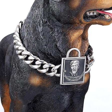 american bully chain