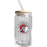 R and R Imports University of Tampa Spartans NCAA 12 oz Can Glass Single