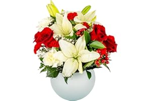 Modern Love in Opal Vase | Red, White, Fresh Flower Arrangement | Arabella Bouquets | Flowers for Delivery, Christmas, Birthday, Congratulations
