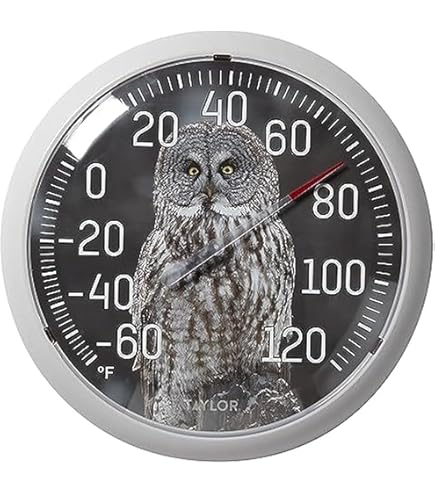 Amazon.com: Taylor Weather Resistant Shatterproof Dial Thermometer