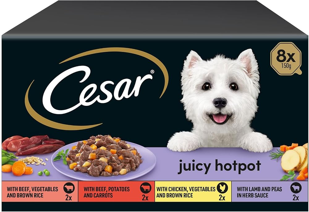 Cesar Juicy Hotpot Mixed Selection Wet Dog Food 8 x 150 g Trays 3 Pack