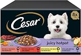 Cesar Juicy Hotpot Mixed Selection Wet Dog Food 8 x 150 g Trays 3 Pack