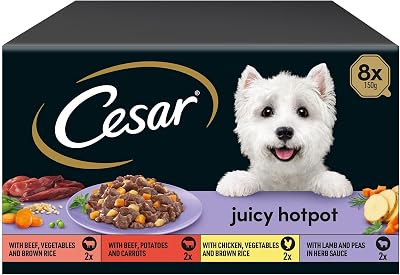 Cesar Juicy Hotpot Mixed Selection Wet Dog Food 8 x 150 g Trays 3 Pack