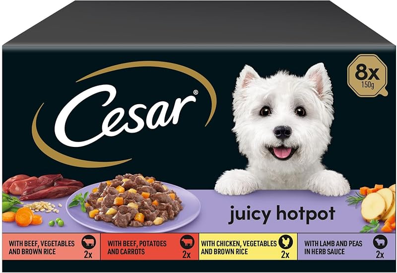 Cesar Juicy Hotpot Mixed Selection Wet Dog Food 8 x 150 g Trays 3 Pack