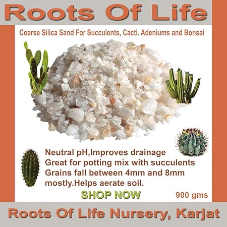 ROOTS OF LIFE Silica Sand To Grow Cactus, Succulents and Bonsai, 900 gms