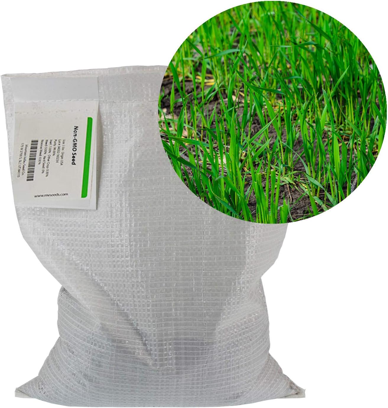 No-Till Winter Rye Seeds - 5 Lbs - Non-GMO Rye Grain Cover Crop Seeds by Mountain Valley Seed Company : Garden & Outdoor