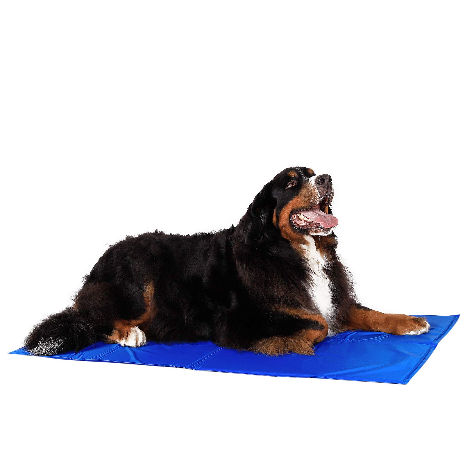 lionto Cooling mat for dogs & cats, self-cooling pet mat provides freshness on warm days, 120x80 cm, foldable cooling blanket without electricity, cooling through body contact, easy to clean, blue