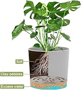 QCQHDU Plant Pot 12.7cm 2 Pack with Drainage Holes & Saucer Light Grey view 4
