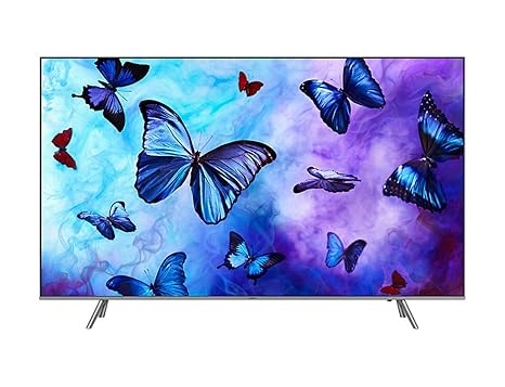 Samsung GQ55Q6FN 138 cm (55 Zoll)) 4K QLED Fernseher (Q HDR 1000, Twin Tuner, Smart TV)