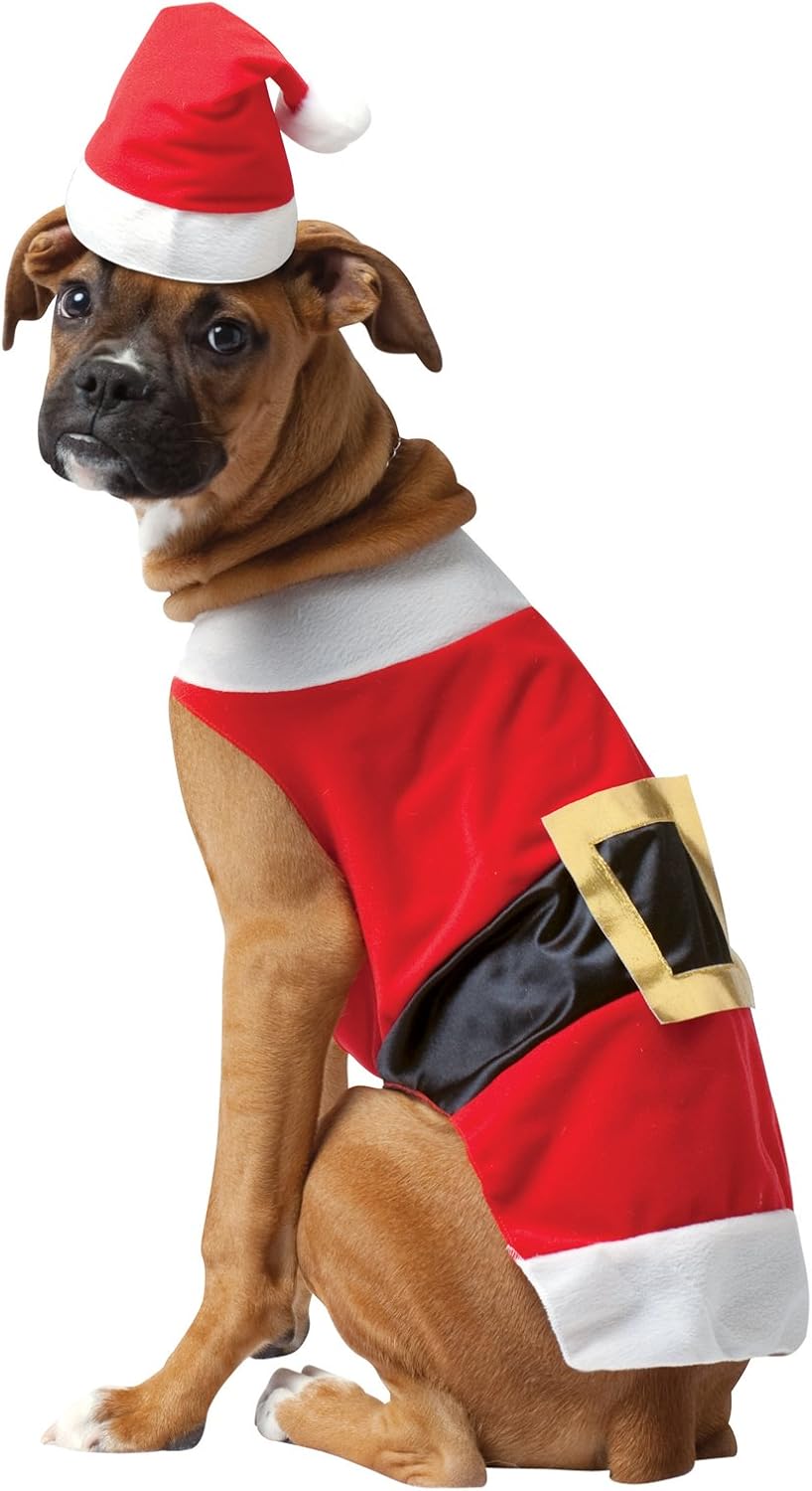 dog in santa suit