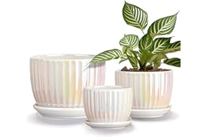 Ton Sin White Plant Pots,Pearl Gold Ceramic Flower Pots 4"+5"+6" Inch Indoor Succulent Pot with Drainage Hole - Decorative Or