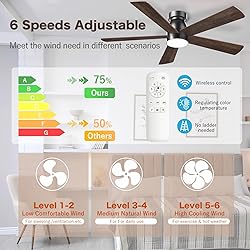 AKOFUN Ceiling Fans with Lights, 52 inch Low