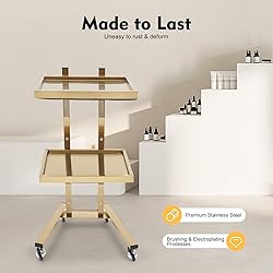 2 Tier Metal Rolling Cart, Stainless Steel Salon