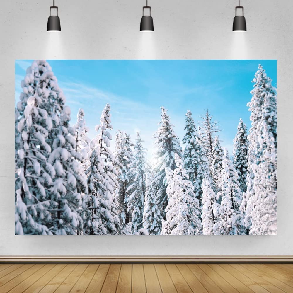 Bovlleetd 7x5ft Winter Season Backdrop - Pine Forest Tree Top Photography Background with Sun and Snow