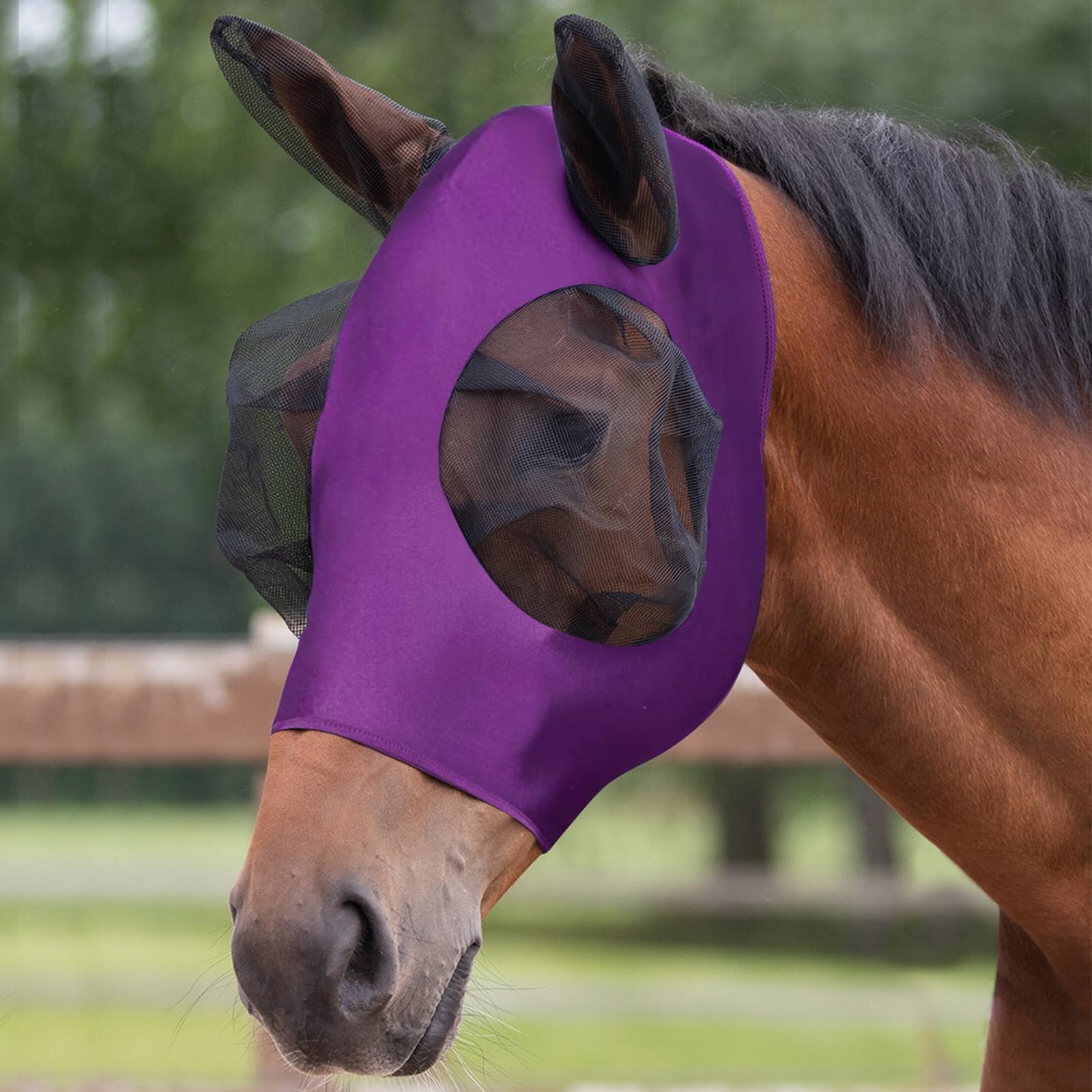 Adiwo Horse Fly Mask with Ears, Super Comfort Fly Masks for Horses - Full-Size, Breathable & Elastic Lycra, UV & Insect Protection, Large with Web Trim Eye Protection (Purple)
