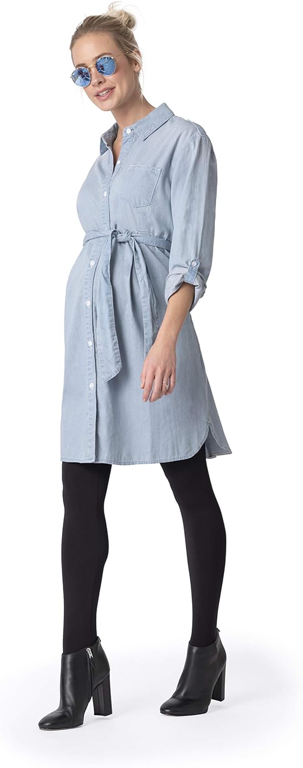 seraphine denim dress