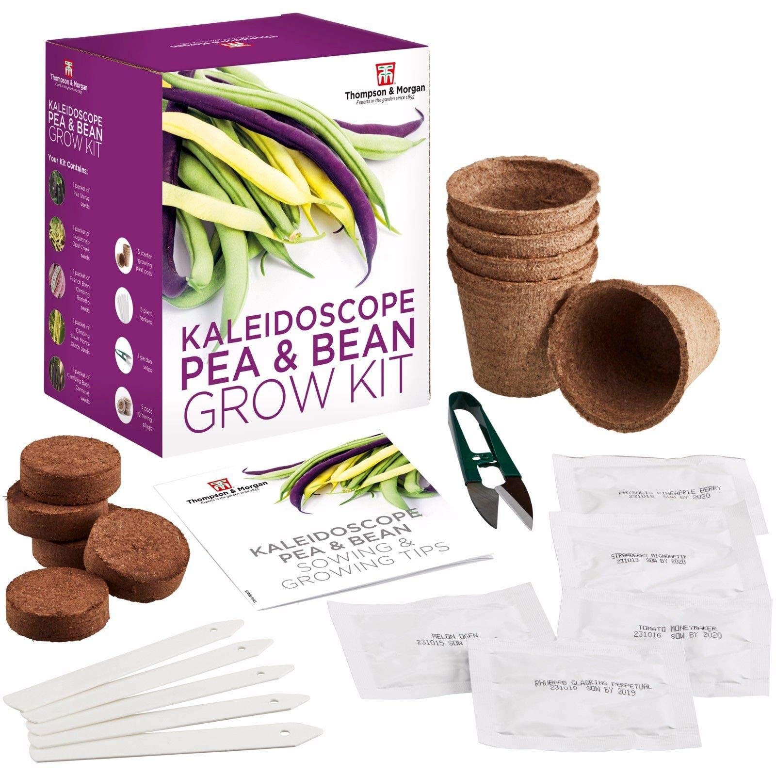 Kaleidoscope Pea and Bean Seed Growing Kit Gift Box - Grow Your Own Climbing Crops; Pea Shiraz, Sugar Snap, Climbing French Beans – Borlotto Monte Gusto & Carminat Seed Kit by Thompson & Morgan